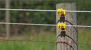 Buying An Electrical Fence In Kenya